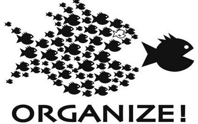 organize-fish-400x250